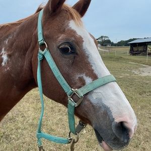 Meet your Posher, Natalie